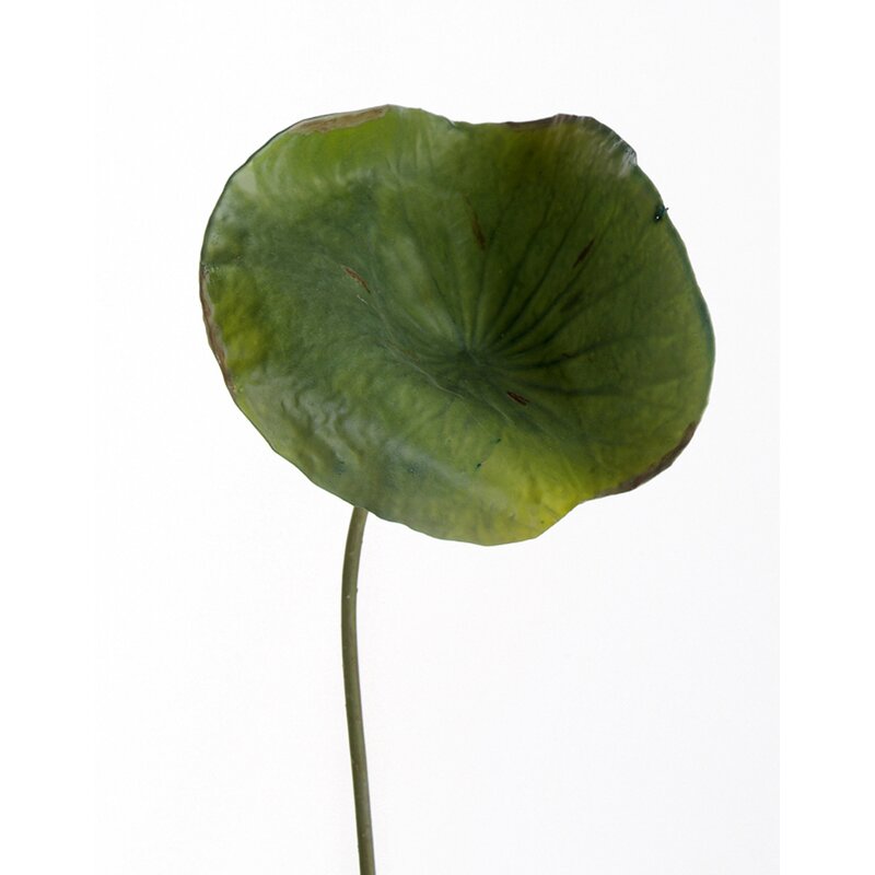 distinctive-designs-diy-foliage-artificial-medium-lotus-leaf-reviews